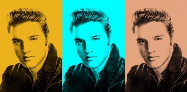 Image result for elvis presley