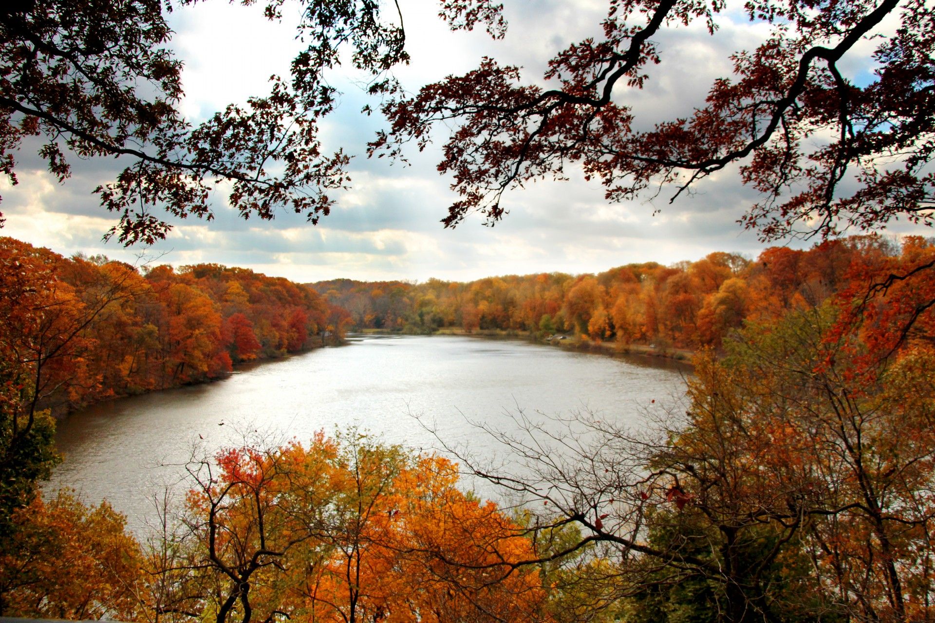 Autumn Lake View